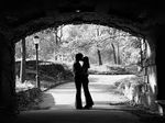 Ideal dating applications & websites for every gender and sexuality 2025